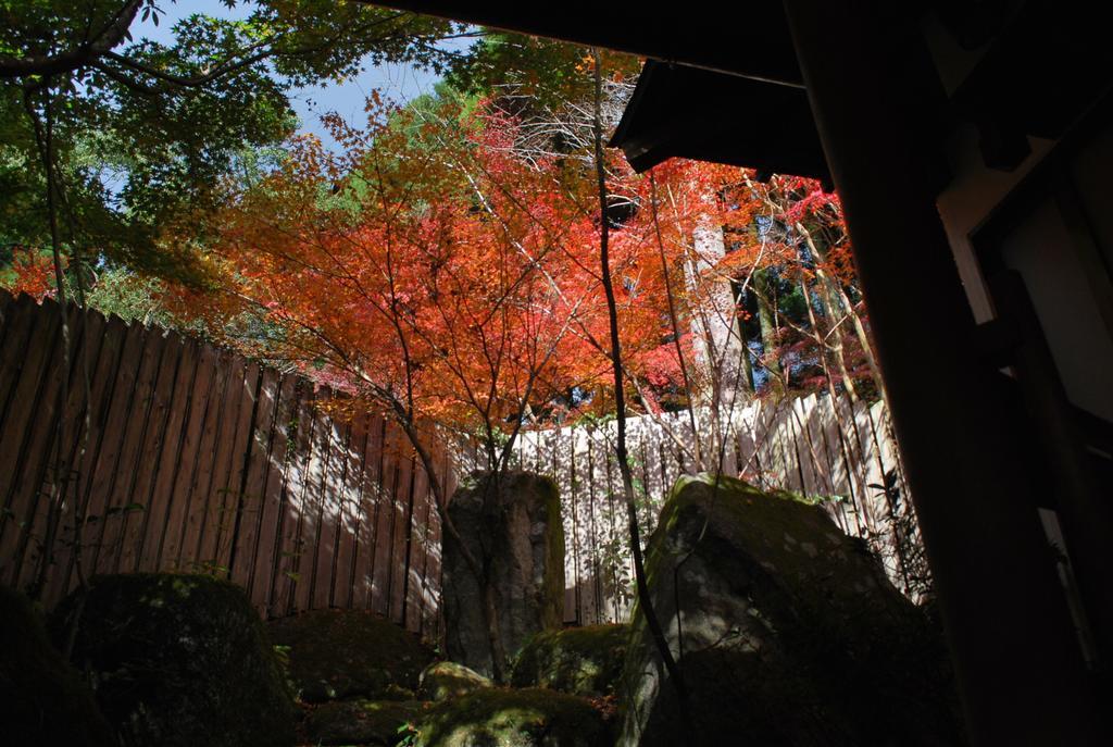 Akizuki Spa Ryokan Seiryuan Asakura  Luaran gambar